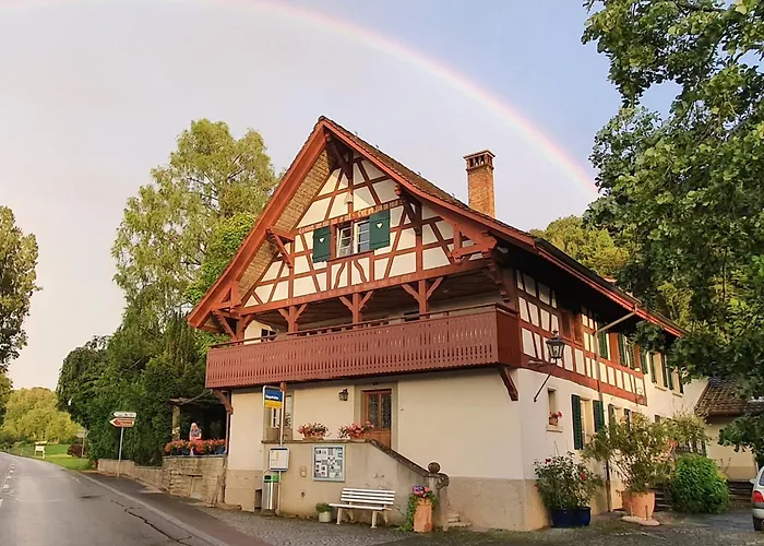 Studio Beim Rhein - Ziegelhuette