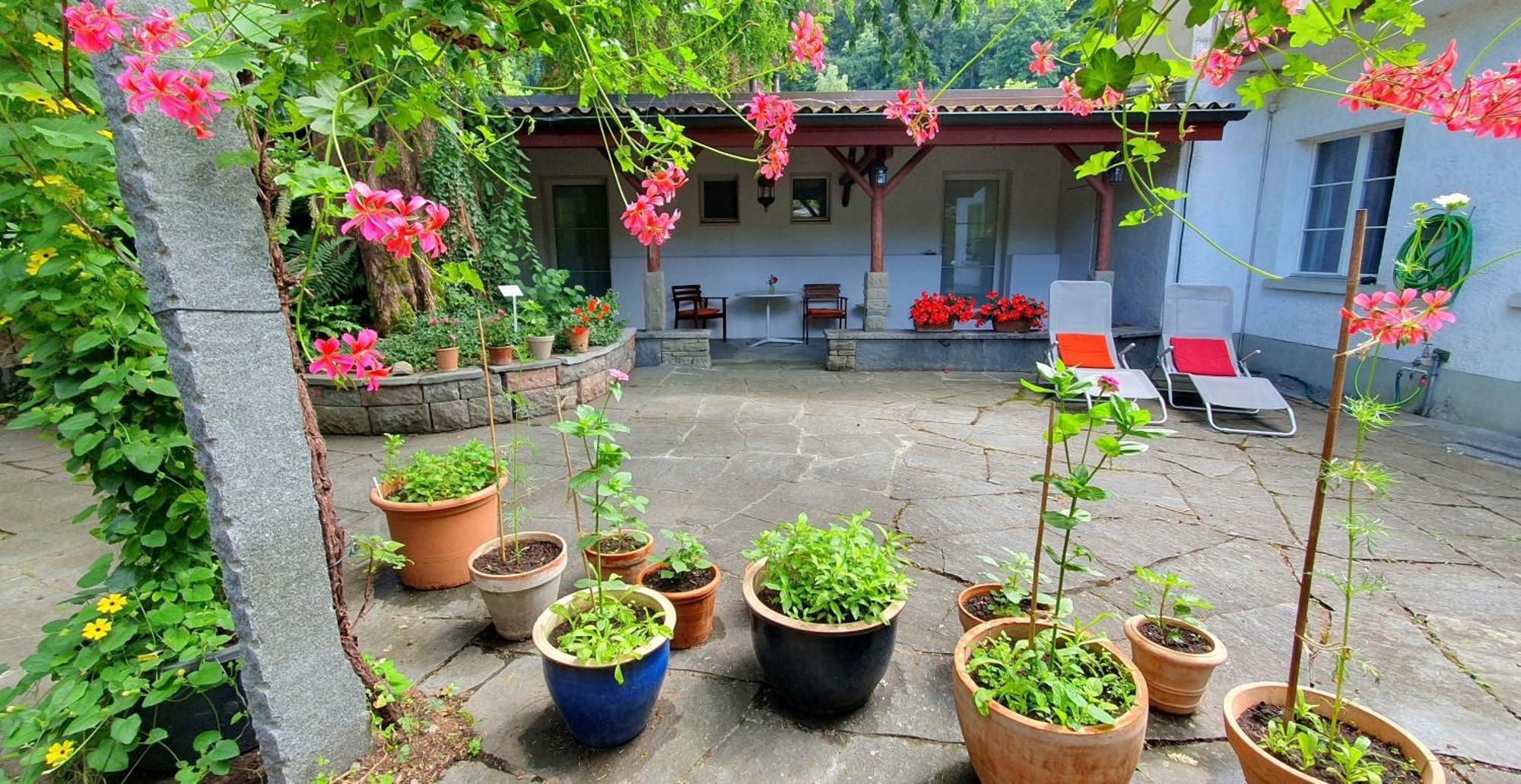 Apartment Beim Rhein - Ziegelhuette Flaach